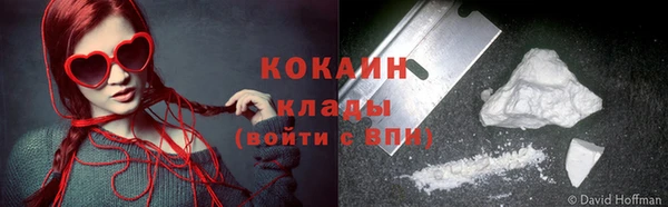 крисы Коряжма