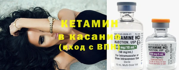 крисы Коряжма