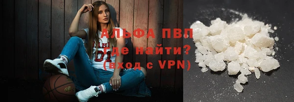 крисы Коряжма