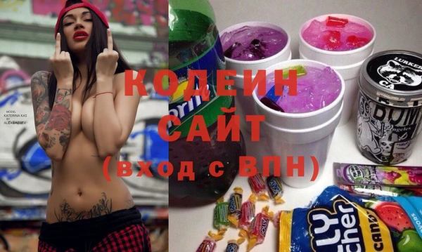 крисы Коряжма