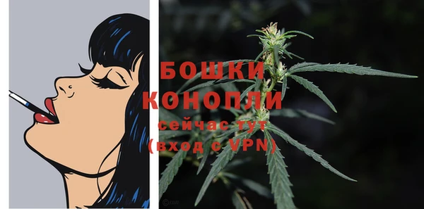 ECSTASY Корсаков