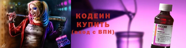 крисы Коряжма