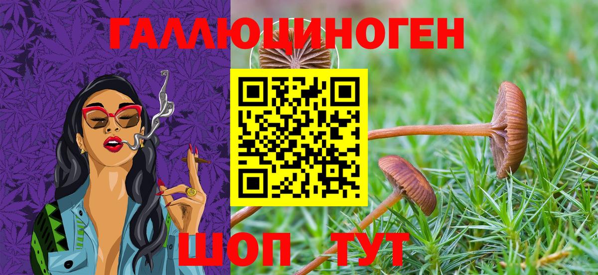 Псилоцибиновые грибы MAGIC MUSHROOMS Краснокаменск